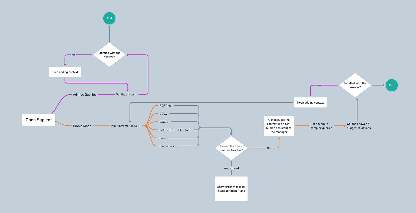 Sapient Flow and Wireframe
